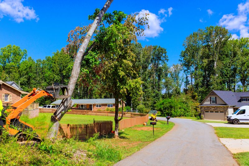 Concrete Removal Service